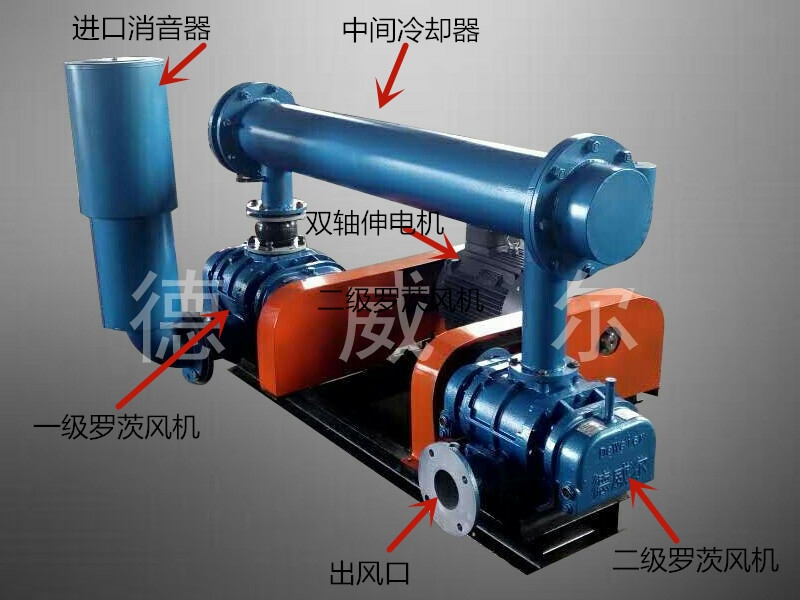 雙極串聯(lián)羅茨風機展示